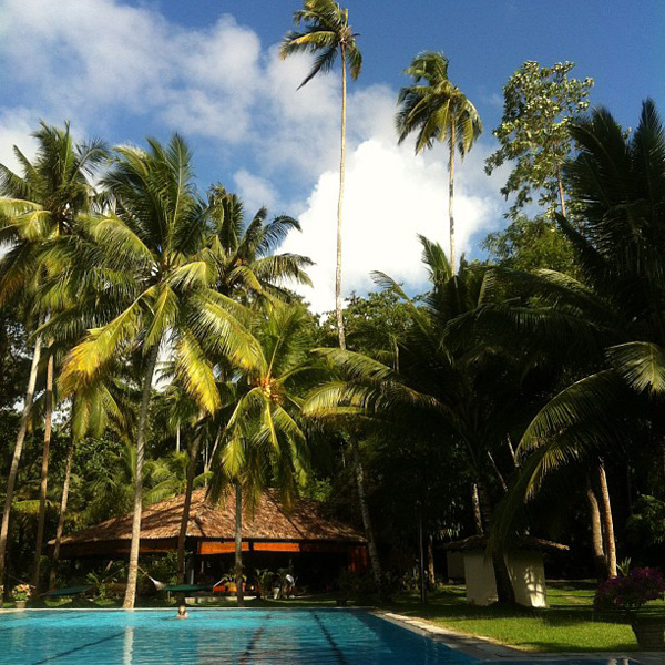 Achieving Success Or Five Steps 1 To Paradise Branding For Results Achieving Success Or Five Steps 1 To Paradise Branding For Results