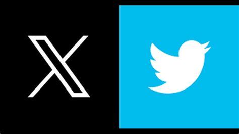 Chinkerbella's OnlyFans Leaked Content Revealed