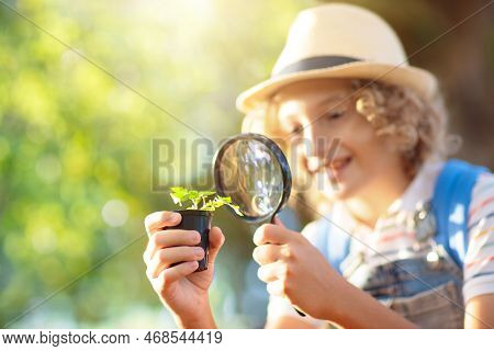 Kids Explore Nature Children Hike In Sunny Park Stock Photo Image Of Kids Explore Nature Children Hike In Sunny Park Stock Photo Image Of